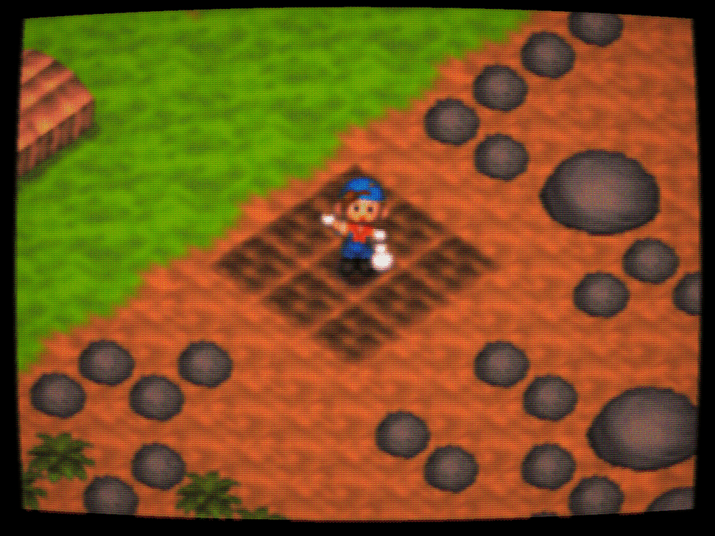 Seed planting in Harvest Moon 64