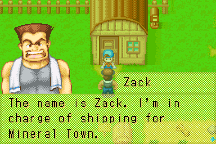 Harvest Moon shipping guy