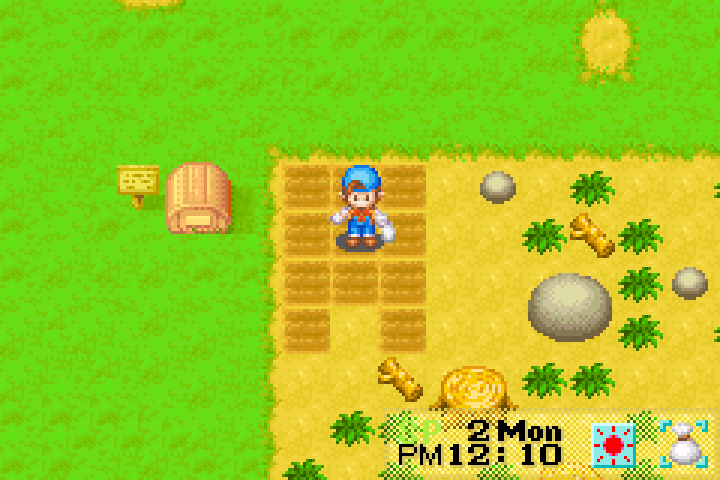 Working the land in Harvest Moon